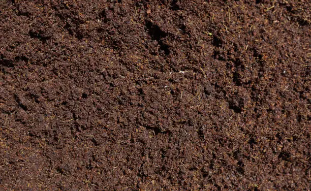 Vermicompost